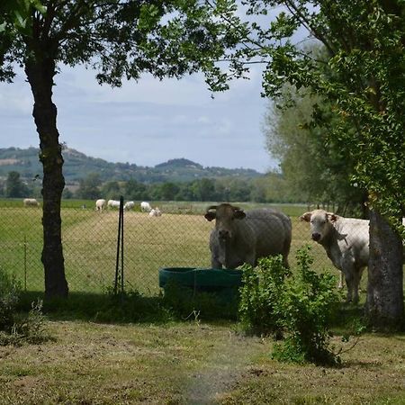 Gite A La Ferme De La Bouriette Revel  Zewnętrze zdjęcie