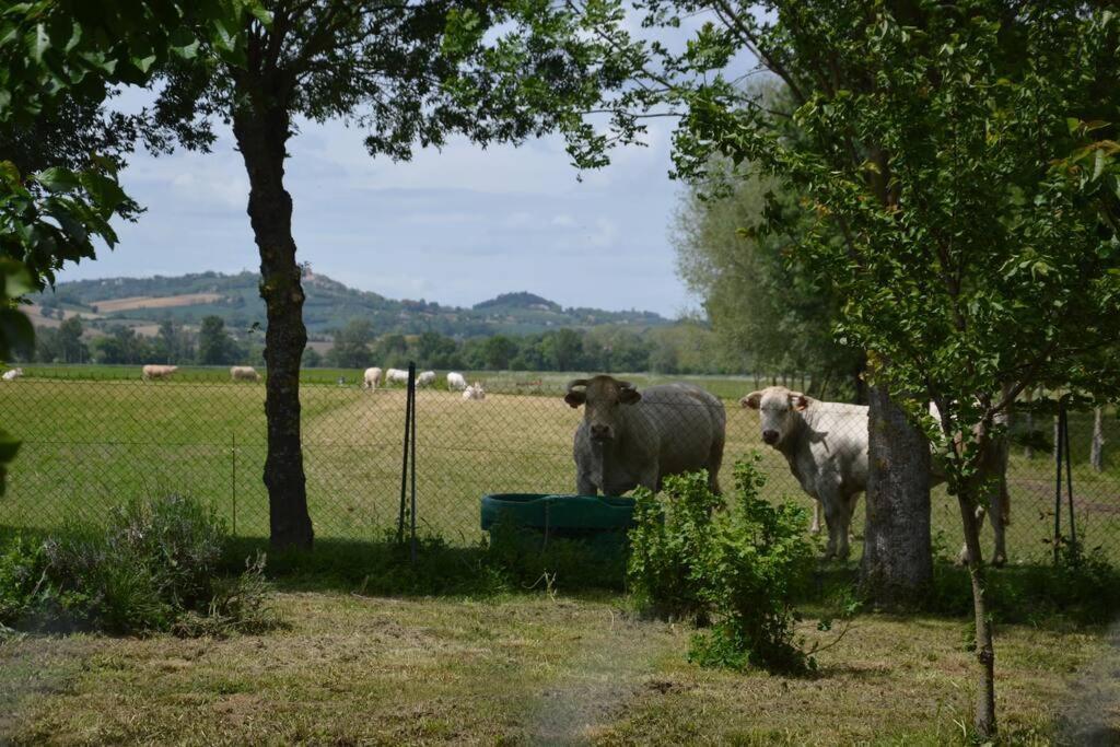 Gite A La Ferme De La Bouriette Revel  Zewnętrze zdjęcie